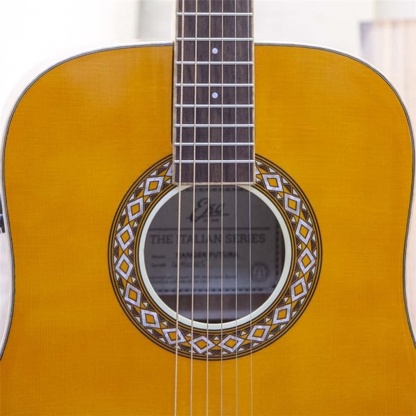 Eko Guitars Ranger Futura