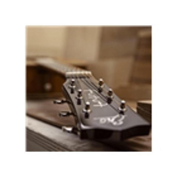 Eko Guitars Ranger Futura