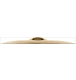 ico 4