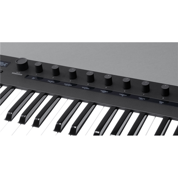 Korg KEYSTAGE-49