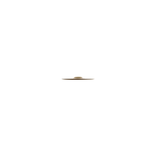 Zildjian A0610-10" FX China Trash
