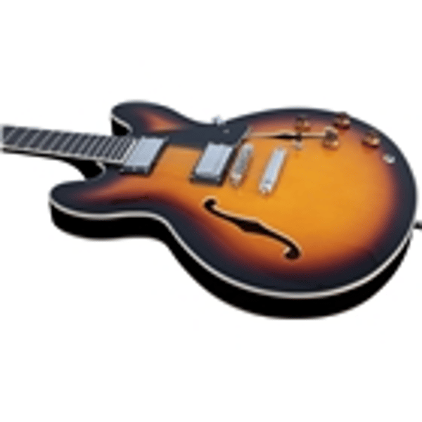 Eko Guitars SA 350