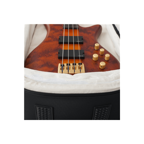 Gator Cases G-PG BASS 2X Borsa ProGo due bassi