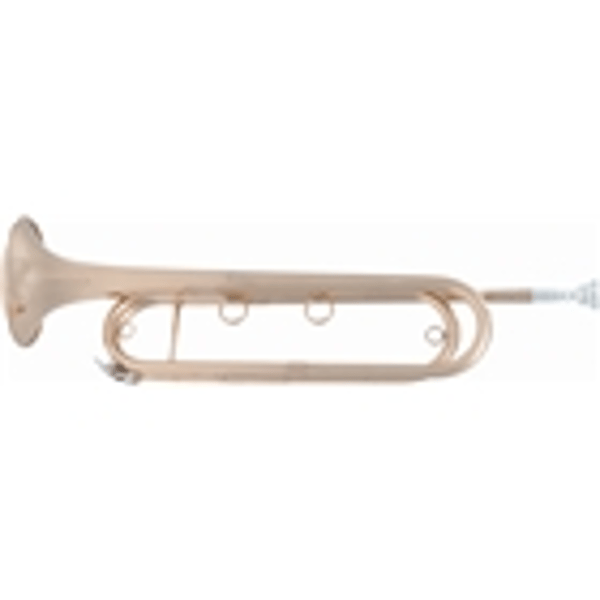 SML Paris VSM FTPC91-L Tromba da cavalleria Concerto in Mib laccata