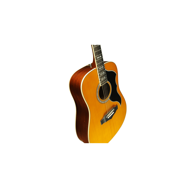 Eko Guitars Ranger VI VR Eq Natural Top Stained