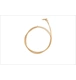 ico 2
