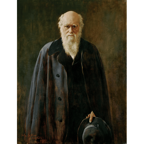 John Collier Ritratto di Charles Darwin (1809-1882) 1883