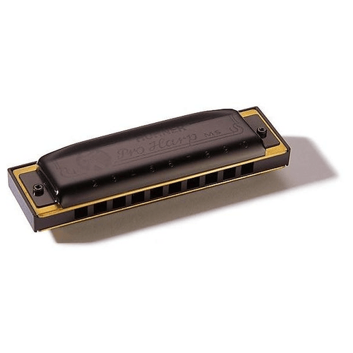 HOHNER M564106 PRO HARP MS 20 A LA