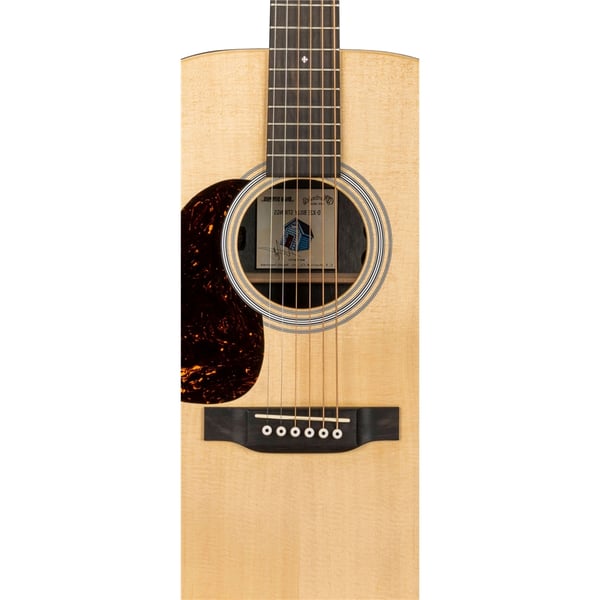 Martin & Co. D-X2EL Billy Strings Left