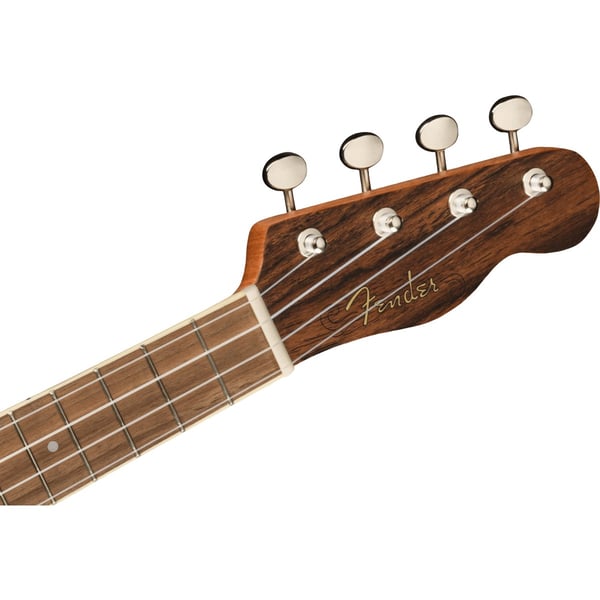 FENDER Ukulele Concert Strumenti popolari Bocote Natural