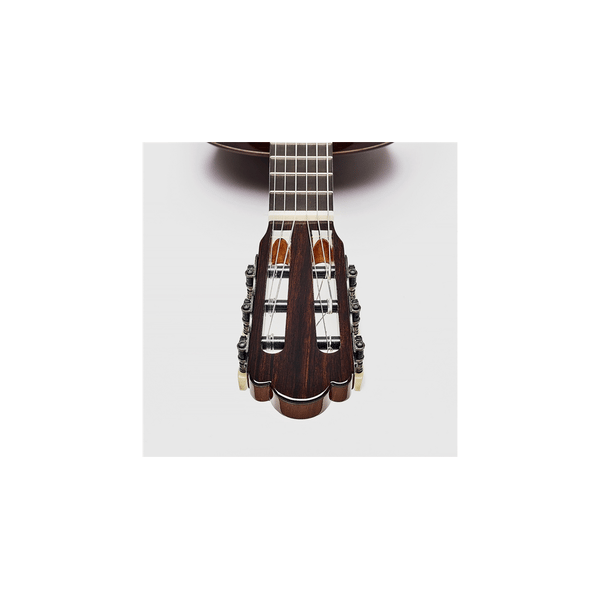 Esteve Torres Chitarra Classica
