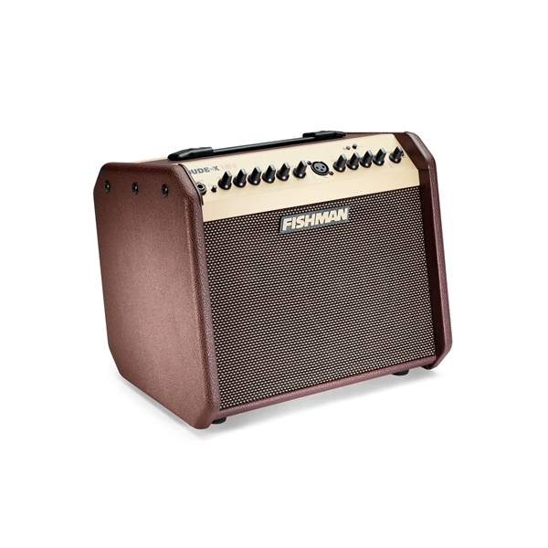 Fishman Loudbox Mini Bluetooth 60W (PRO-LBT-EU5)